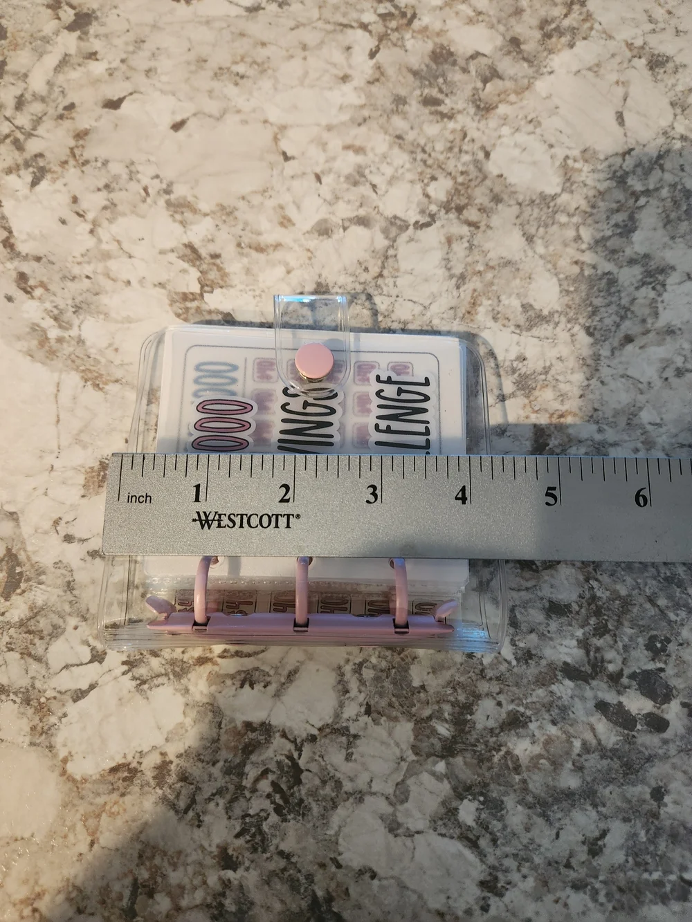 $1000 Savings Challenge Clear Binder with Pink Accents